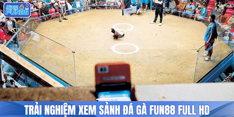 Trải nghiệm xem sảnh đá gà FUN88 Full HD 